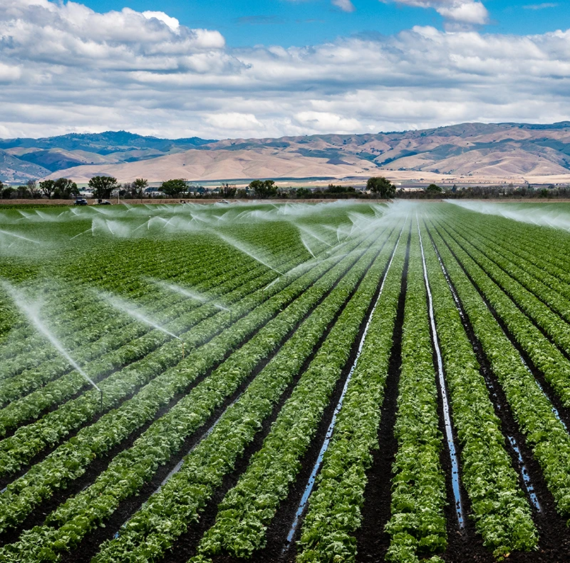 agricultural irrigation